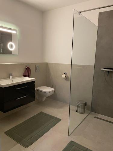 ein Bad mit einer Dusche, einem Waschbecken und einem WC in der Unterkunft Ferienwohnung Zossen Gästehaus in Zossen