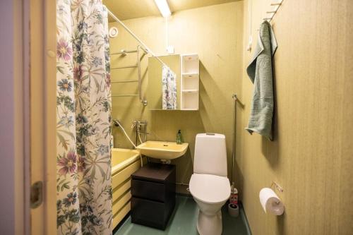 a small bathroom with a toilet and a sink at 30m2 studio - 500m from train station to Airport and Helsinki city centre in Vantaa