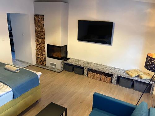TV a/nebo společenská místnost v ubytování Apartmán Gabriela