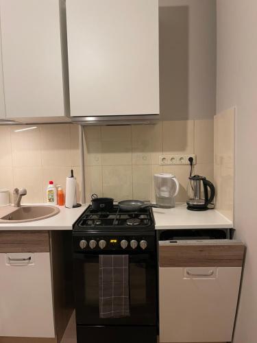 a kitchen with a stove and a sink at Cozy apartment close to Riga Airport in Riga