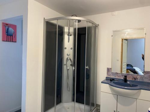 une salle de bain avec douche et lavabo dans l'établissement Appartement lumineux rez-de-chaussée prox GARE, à Cambrai