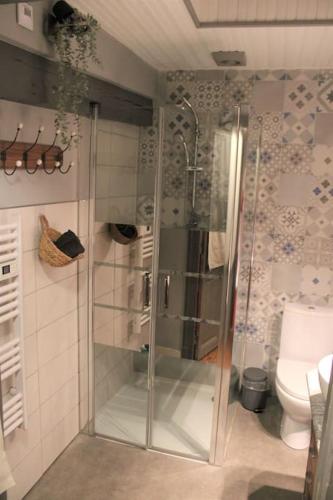 une salle de bain avec douche et toilettes dans l'établissement Authentique & agréable maison, à Auch