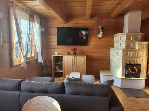 TV a/nebo společenská místnost v ubytování Winery & Rural Holiday Home Hren Hiža - Sveti Martin na Muri