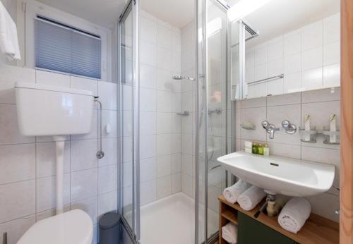 ヴェンゲンにあるChalet Lobhornblickのバスルーム(シャワー、洗面台、トイレ付)