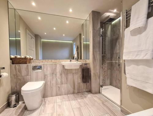 a bathroom with a toilet and a sink and a shower at Luxury 4 poster lakefront rural retreat in Heckfield