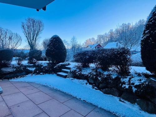a yard covered in snow with bushes and trees at Boutique Apartment in Lenzkirch