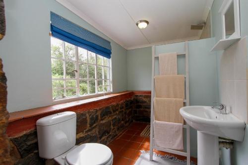 a bathroom with a toilet and a sink and a window at Spion Kop Lodge in Winterton