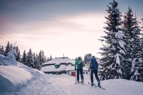 two people on skis in the snow near a cabin at Landhaus BERGSEE in Bodensdorf