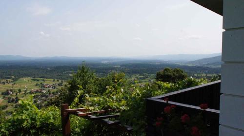 a view of a vineyard from a house at Holiday home in Semic - Kranjska (Krain) 26078 in Semič