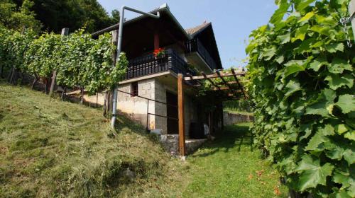 una casa en un viñedo con un montón de uvas en Holiday home in Semic - Kranjska (Krain) 26078, en Semič