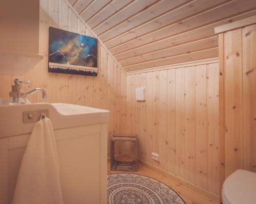 a bathroom with a toilet and a painting on the wall at Vengsøy Rorbuer in Vengsøya
