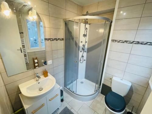 une salle de bain avec une douche, des toilettes et un lavabo dans l'établissement Studio Chez Sissi - hypercentre -, à Honfleur