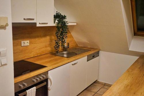 cocina con fregadero y encimera en Beautiful Rooftop Apartment, en Viena