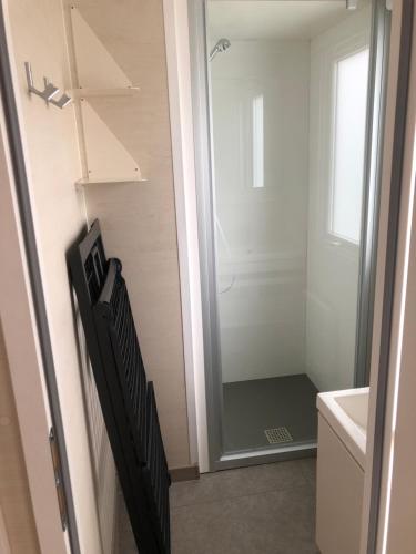 ein Bad mit einer Dusche, einem WC und einem Spiegel in der Unterkunft Mobilhome 4 etoiles in Narbonne