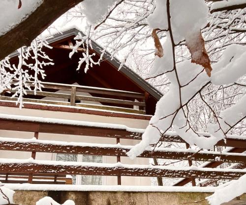 un techo cubierto de nieve de una casa con ramas cubiertas de nieve en ALBAK Green Zone, en Gradačac