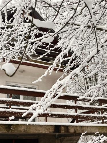Gradačac的住宿－ALBAK Green Zone，房子前的雪覆盖的树