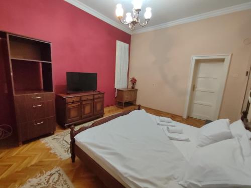 1 dormitorio con 1 cama y TV. en Red cross 58 apartment, en Vračar (historical)