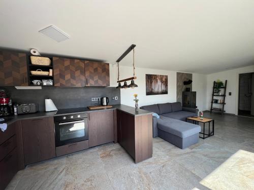 a kitchen and living room with a couch and a table at Saale-Residenz in Unterwellenborn