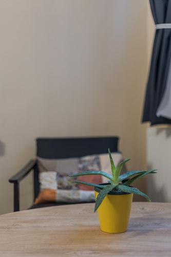 a plant in a yellow pot sitting on a table at Studio apartman Kamenčić in Osijek
