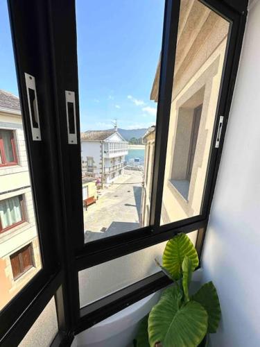 a window with a plant looking out at a street at A do Caseiro in O Barqueiro