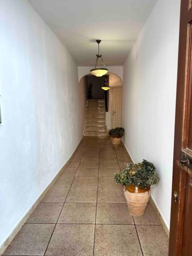 a hallway with two potted plants and a staircase at A do Caseiro in O Barqueiro