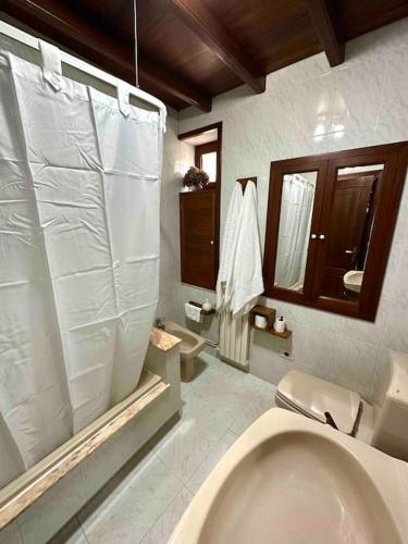 a bathroom with a toilet and a shower at A do Caseiro in O Barqueiro
