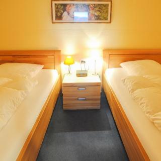 - une chambre avec 2 lits jumeaux et une table de nuit dans l'établissement Ferienwohnung Efeu, à Altenau