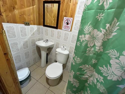 a bathroom with a toilet and a sink at Cabañas El Boldo in Licán Ray