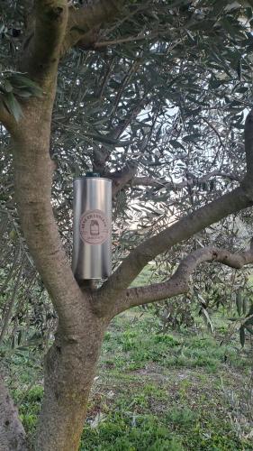 a silver object is sitting in a tree at Rêve en Lubéron in Lauris