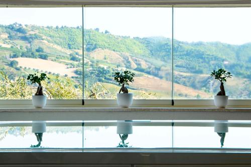 a window with three plants sitting on a ledge at Colle Serrano Relais & SPA in Ripatransone