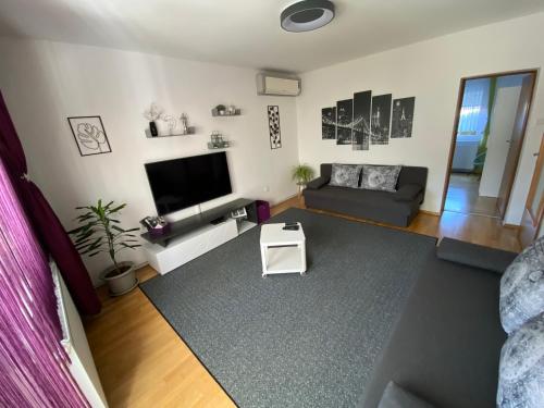 een woonkamer met een bank en een televisie bij Apartman Sweet Garden K&A in Zagreb
