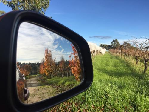 a side view mirror of a car reflecting a road at Gypsy Creek Retreat in Labertouche