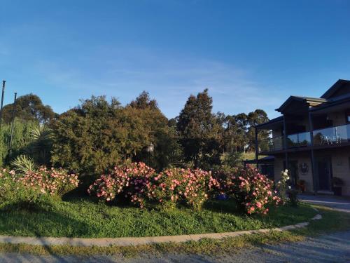 a bush of flowers on the side of a street at Gypsy Creek Retreat in Labertouche
