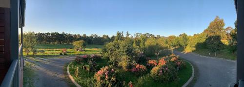 a view from a window of a road with flowers at Gypsy Creek Retreat in Labertouche