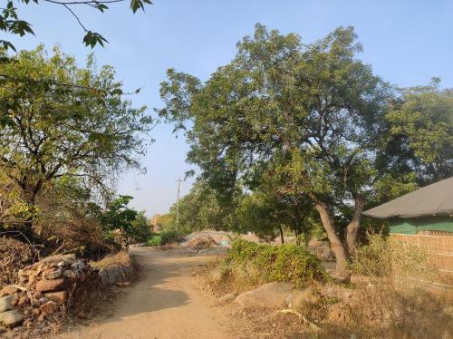 a dirt road with some trees and a building at Adhya Home Stay Hampi in New Hampi