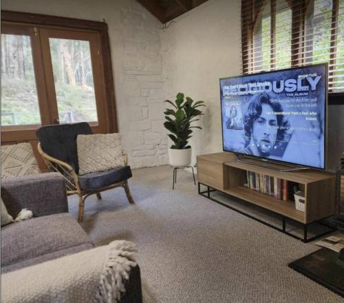Daylesford FROG HOLLOW ESTATE- The Retreat في ديلسفورد: غرفة معيشة مع تلفزيون بشاشة مسطحة كبيرة