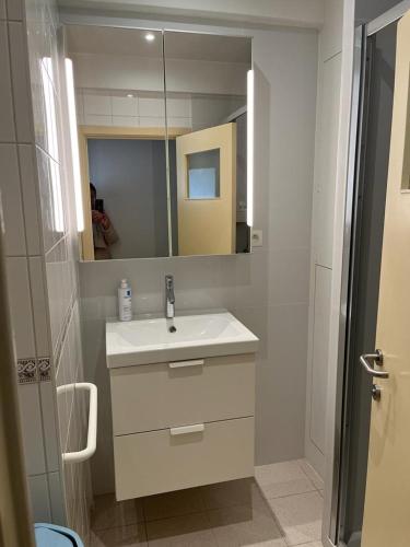 Koupelna v ubytování Zeedijk Koksijde