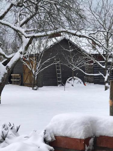 a house covered in snow with trees and branches at Zagroda w Puszczy in Białowieża