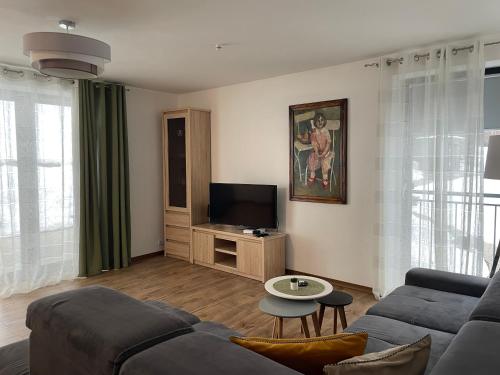 a living room with a couch and a tv at Apartamenty Carpe Diem in Ustroń