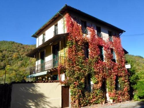 un bâtiment recouvert de lierre sur le côté dans l'établissement Le Grand Chalet, à Aspet