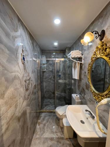 e bagno con doccia, servizi igienici e lavandino. di Constantinopolis Hotel a Istanbul