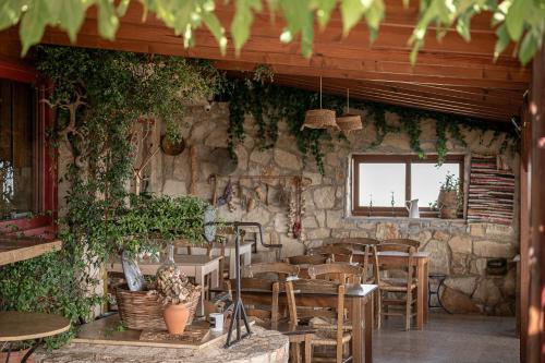 a restaurant with a wall covered in ivy at Earino in Kato Asites