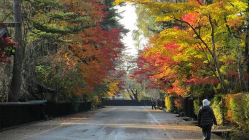 Un paisaje natural cerca del ryokan