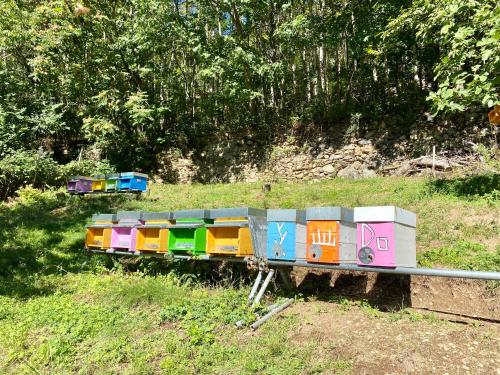 a toy train sitting on top of a field at Casa Giuliana in Teglio