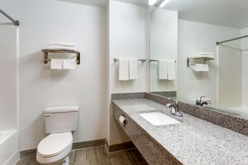 uma casa de banho com um WC e um lavatório em Econo Lodge Lookout Mountain em Chattanooga