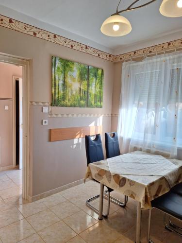 a dining room with a table and chairs at Margit Apartman in Hajdúszoboszló