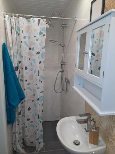a bathroom with a sink and a shower at Ferienwohnung Anna in Schramberg