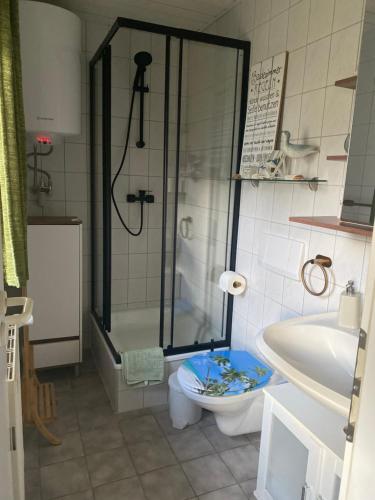 a bathroom with a shower and a toilet and a sink at Nordwind Sjut in Warnow
