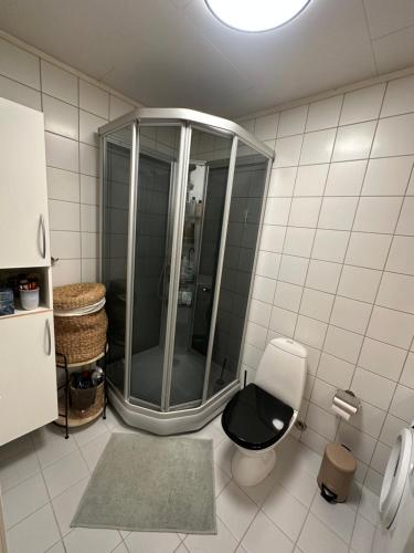 a bathroom with a shower and a toilet in it at Koselig leilighet med havutsikt in Tromsø