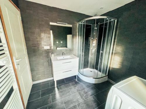 een badkamer met een douche en een wastafel bij Les Glycines in Guewenheim